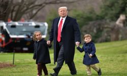 ترامب ينتظر حفيدا من أصل عربي